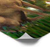 ビズラ1 – ミッドイブ ポスター (角)