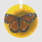 ビセロイチョウ｜Limenitis Archippus オーナメント (裏面)