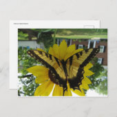 ビセロイバテルフィ ポストカード (正面/裏面)