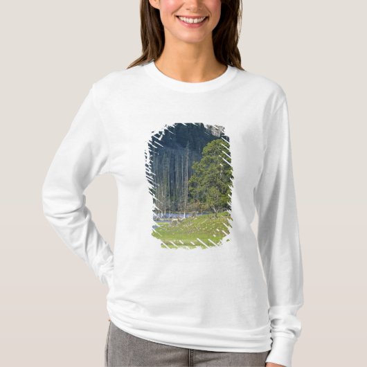 ビソンとふくらはぎイエローストーン国立公園 Tシャツ (正面)