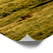 ビソンアットサンライズ ポスター (角)