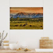 ビソンアットサンライズ ポスター (キッチン)