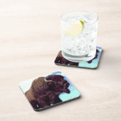 ビソンアポップ・アートのート コースター (右側)