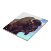 ビソンアポップ・アートのート タイル (側面)