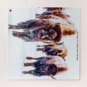 ビソンイエローストーンワイオミンジグソーパズル ジグソーパズル (横)