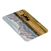 ビソンインザティトン マグネット (右側)