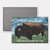 ビソンローミングインイエローストーン国立公園 マグネット (正面/裏面)