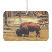 ビソン カーエアーフレッシュナー (裏面)