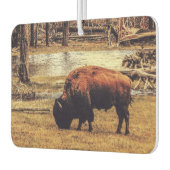 ビソン カーエアーフレッシュナー (左)