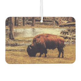 ビソン カーエアーフレッシュナー