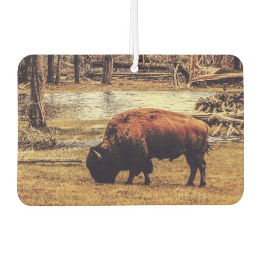 ビソン カーエアーフレッシュナー (正面)