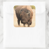 ビソン スクエアシール (バッグ)