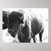 ビソン ポスター (正面)