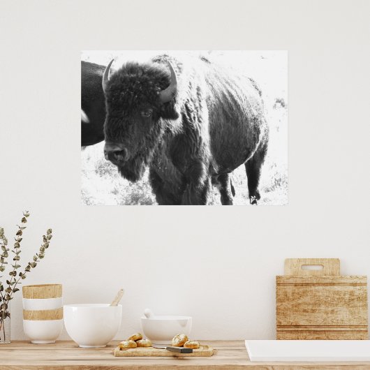 ビソン ポスター (キッチン)