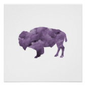 ビソン ポスター (正面)