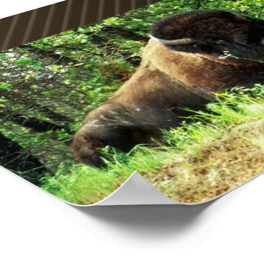 ビソン ポスター (角)