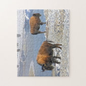 ビソン・モンタナ。 ジグソーパズル (縦)