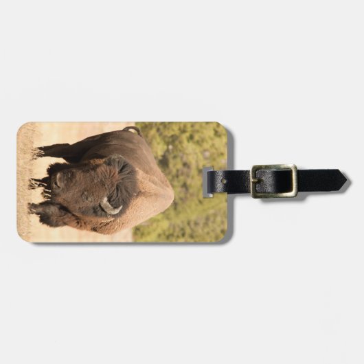 ビソン ラゲッジタグ (正面横)