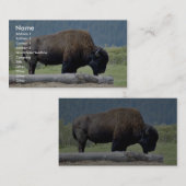 ビソン 名刺 (正面/裏面)