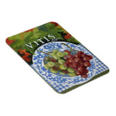 ビタス マグネット (右側)