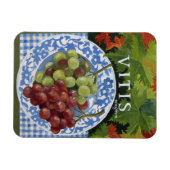 ビタス マグネット (横)