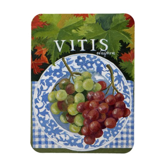 ビタス マグネット (縦)