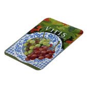 ビタス マグネット (左側)