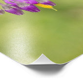 ビタースイートナイトシェードワイルドフラワープリント フォトプリント            (角)