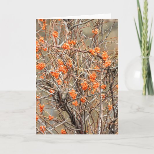 ビタースイートノートカード カード (正面)