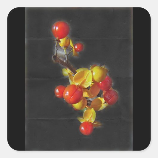 ビタースイートベリー – 秋美しい スクエアシール (正面)