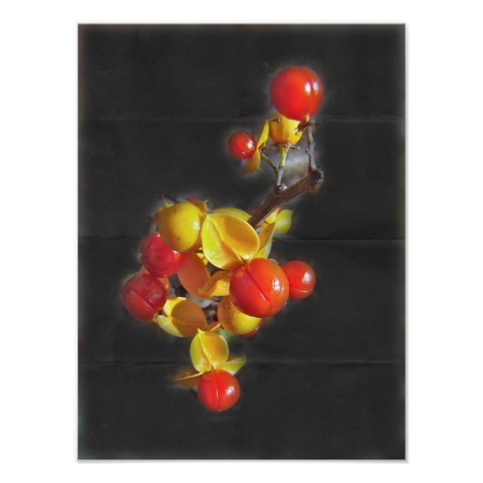 ビタースイートベリー – 秋美しい フォトプリント            (正面)