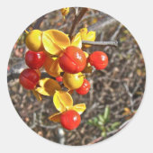 ビタースウィートつる植物ベリーのアイテム ラウンドシール (正面)