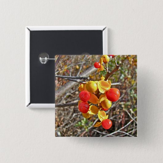 ビタースウィートつる植物ベリーのアイテム 缶バッジ (正面&裏面)