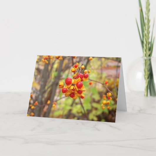 ビタースウィートベリー カード (正面)