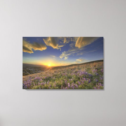 ビタールート山脈と広大な上の夕日 キャンバスプリント (正面)