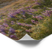 ビタールート山脈と広大な上の夕日 ポスター (角)