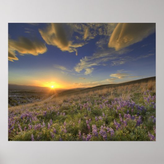 ビタールート山脈と広大な上の夕日 ポスター (正面)