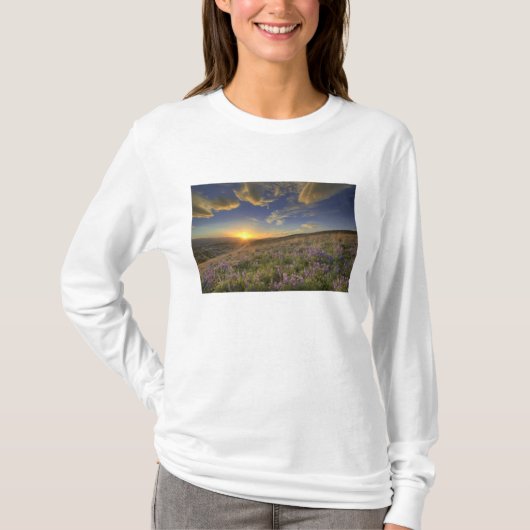 ビターロート山脈と広大な景色の夕焼け Tシャツ (正面)