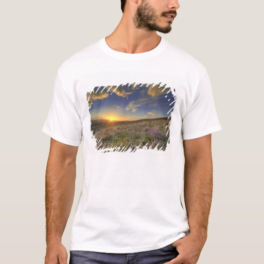 ビターロート山脈と広大な風景の上のサンセット Tシャツ (正面)