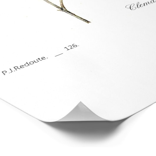 ビチエラ菌 ポスター (角)