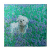 ビチョンフリーズ タイル (正面)