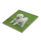 ビチョンフリーズ タイル (側面)