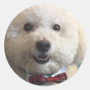 ビチョン·フリーズ-ステッカー ラウンドシール