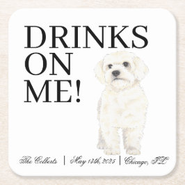 ビチョン、ボローニャ語、ハバニーズ、マルチーズ結婚ズ スクエアペーパーコースター