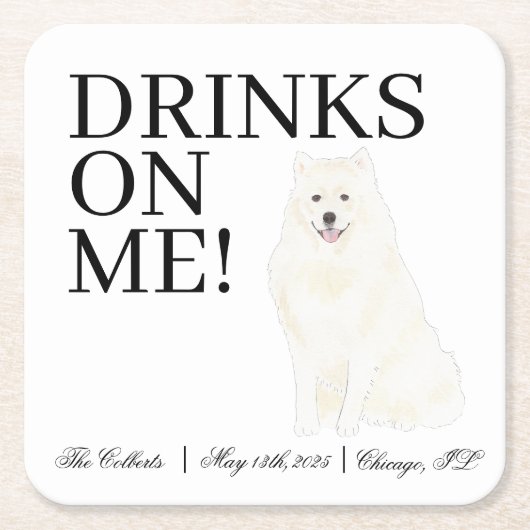 ビチョン、ボローニャ語、ハバニーズ、マルチーズ結婚ズ スクエアペーパーコースター (正面)