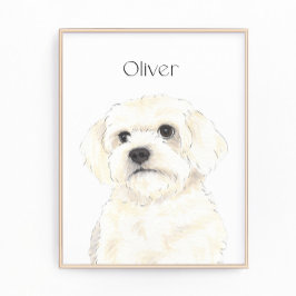 ビチョン、ボローニャ、コトン、ハバニーズ、マルチーズアート フォトプリント           