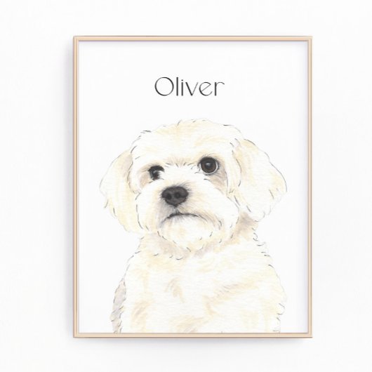 ビチョン、ボローニャ、コトン、ハバニーズ、マルチーズアート フォトプリント