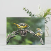 ビッカリングオリオレス – すべての行事ノートカード (スタンド正面)