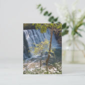 ビッカリークリーク秋ズロズウェルガ ポストカード (スタンド正面)