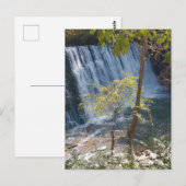 ビッカリークリーク秋ズロズウェルガ ポストカード (正面/裏面)